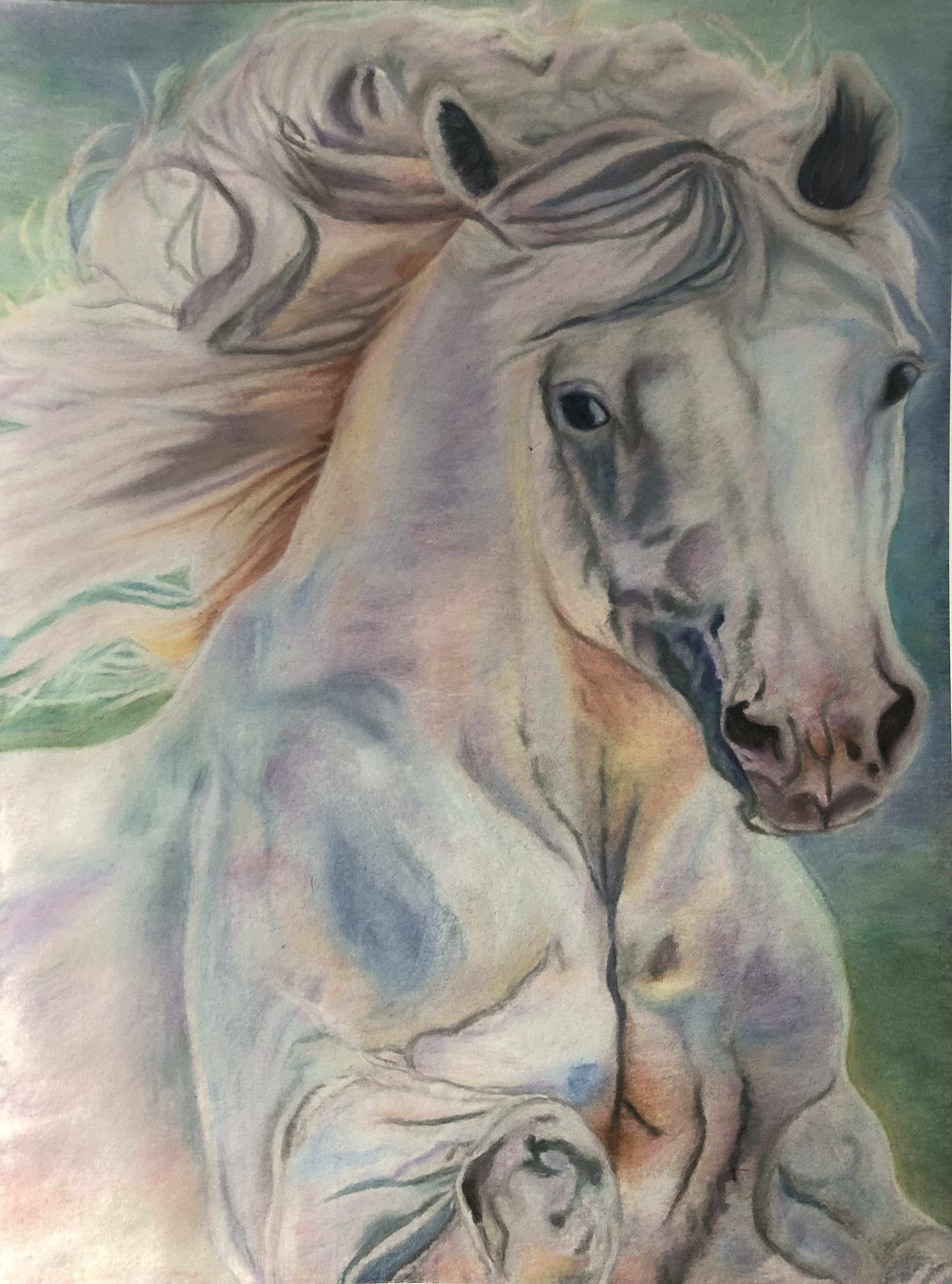 horse - traditional